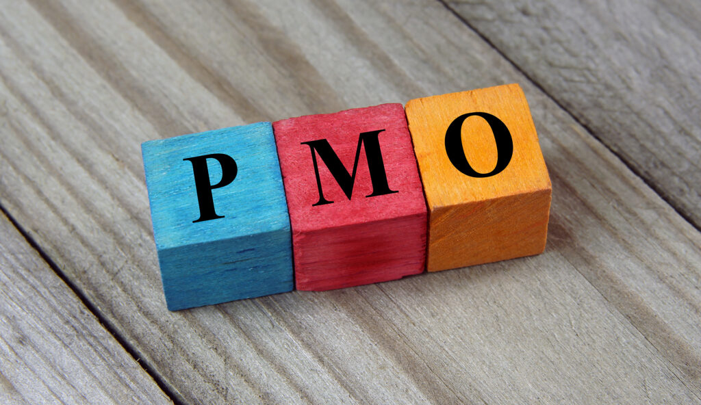 البرنامج الشامل عن مبادرة الـ PMO الرئيسية